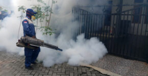 Waspada DBD : Petugas melakukan fogging